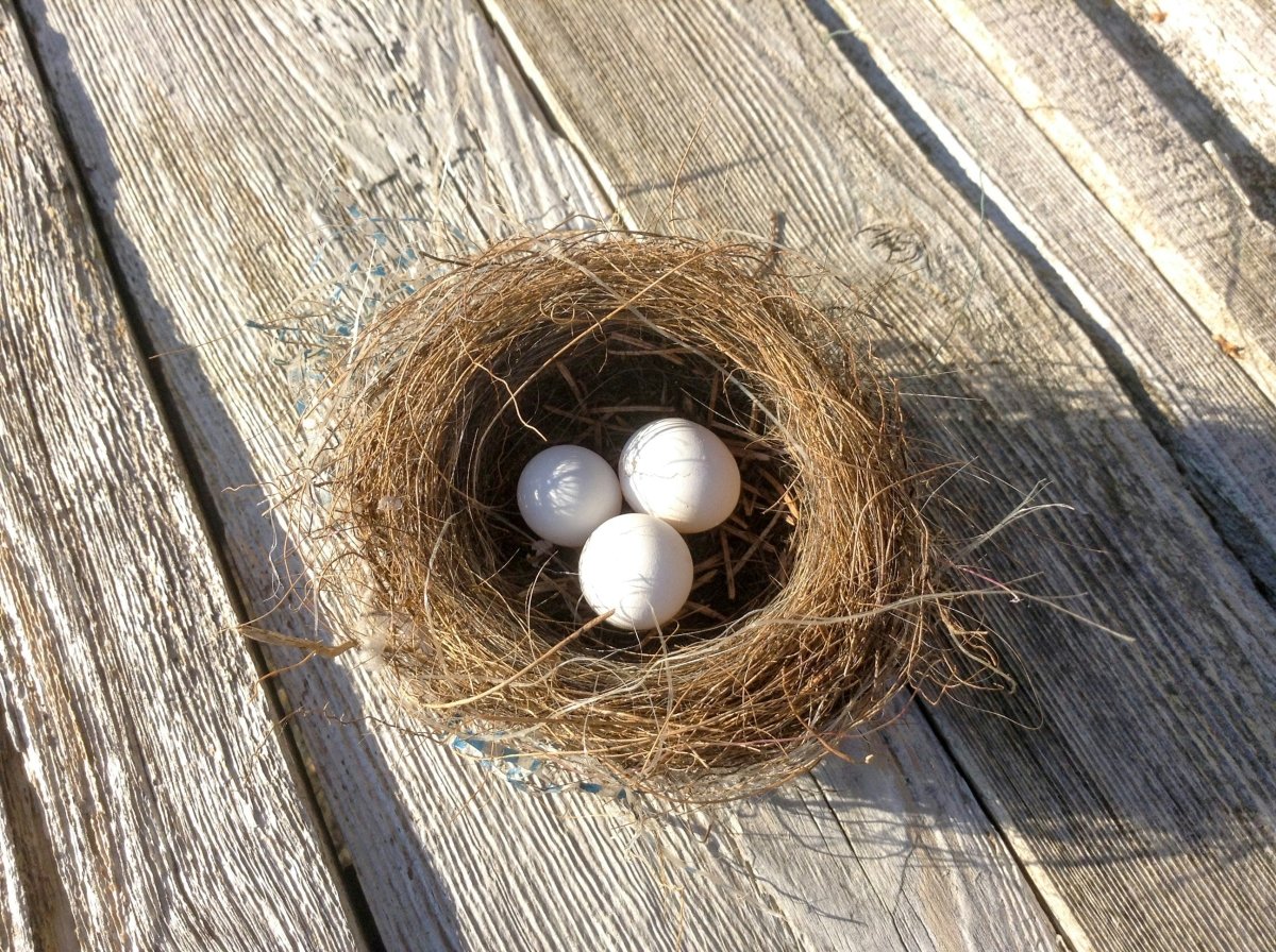 Pearl Nest Ring - SunTouch Jewelry