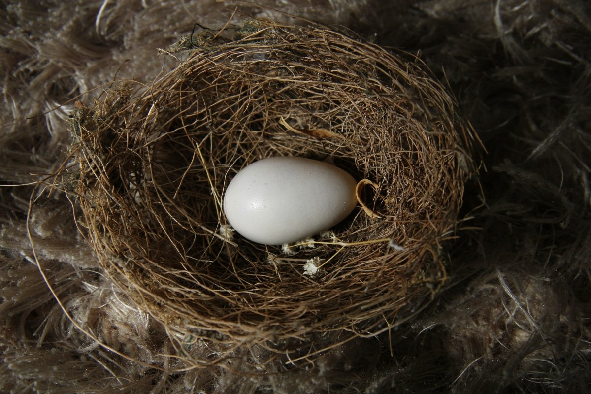 Pearl Nest Ring - SunTouch Jewelry