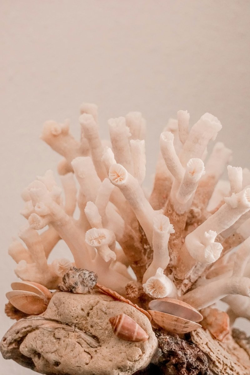 Reef Branch Pendant - SunTouch Jewelry