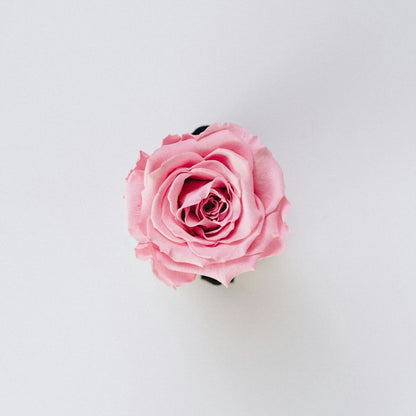 Rosette Hoop Earrings - SunTouch Jewelry