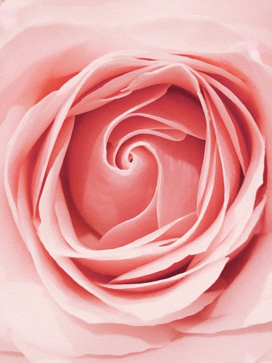 Rosette Hoop Earrings - SunTouch Jewelry
